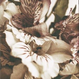 Meet your Posher, Nevaeh